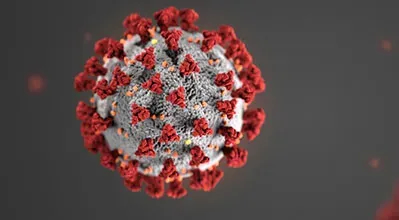 Rendering of microbe