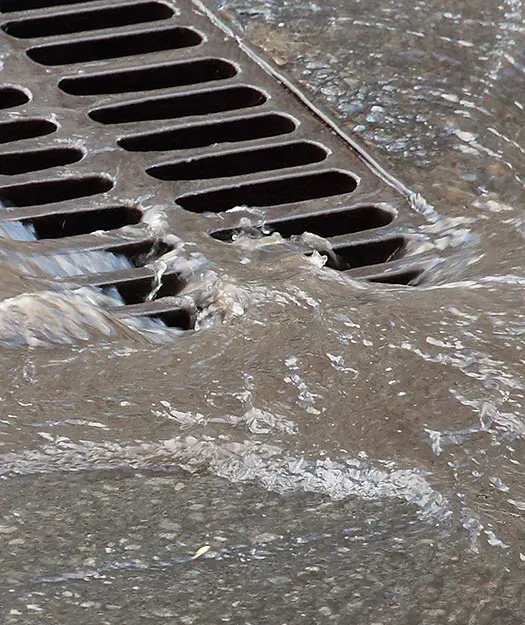 Sewage drain on roadway